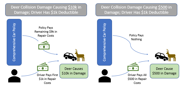 deer collision coverage with comprehensive insurance diagram