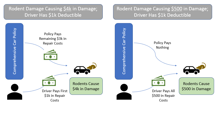 diagram of rodent damage covered by car insurance